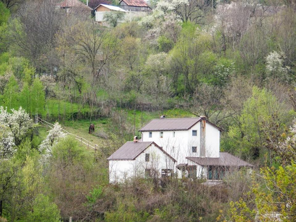 Вилла Casa Piscul Lupului Pucioasa Экстерьер фото