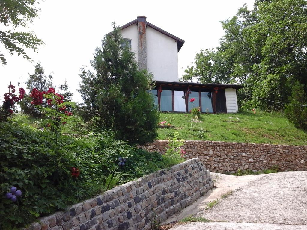 Вилла Casa Piscul Lupului Pucioasa Экстерьер фото